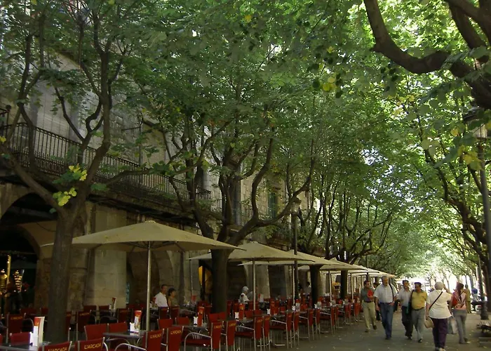 Beautifully Furnished Luxury In Barri Vell, Daire *